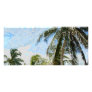 Exotic Palm Trees Rack Card
