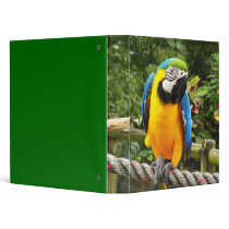 Exotic Parrot 3 Ring Binder