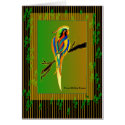 Exotic Parrot by Debbie Jensen cards