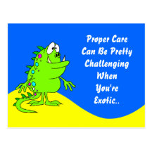 Exotic Pet Service Veterinarian Promotion Postcard