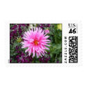 Exotic Pink Flower postage by spollard01 Exotic Pink Flower postage