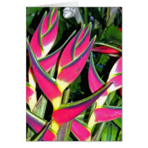 Exotic Plants (1) Card