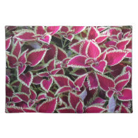 exotic red leaves with yellow edge plants. placemats