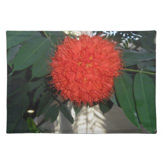 Exotic Red Orchid Placemat placemat
