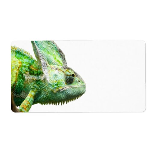 Exotic Reptile Label Zazzle exotic-reptile-label-zazzle