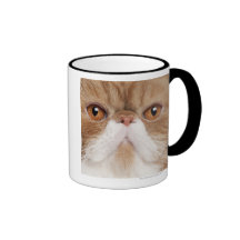 Exotic Shorthair (2,5 years old) Mug