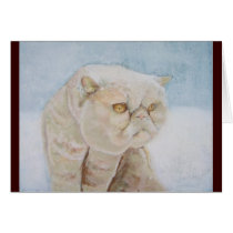 Exotic Shorthair in the Snow Card