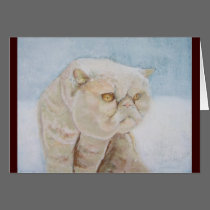 Exotic Shorthair in the Snow Card cards