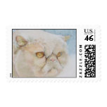 Exotic Shorthair Postage Stamp