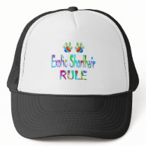 Exotic Shorthair Rule hats