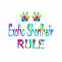 Exotic Shorthair Rule t-shirts