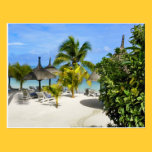 Exotic Tropical Beach Postcard postcards