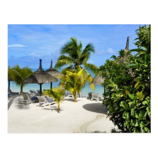 Exotic Tropical Beach Postcard
