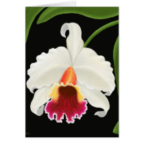 Exotic Tropical Orchid cards