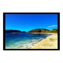 Exotic-Tropical posters