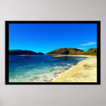 Exotic-Tropical Posters