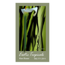 Exotic Tropicals - Florists Floral Stylists business cards by StylishBusinessCards Exotic Tropicals - Florists Floral Stylists business cards