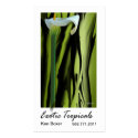 Exotic Tropicals - Florists Floral Stylists business cards by StylishBusinessCards Exotic Tropicals - Florists Floral Stylists business cards