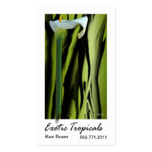 Exotic Tropicals - Florists Floral Stylists profilecard
