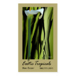 Exotic Tropicals - Florists Floral Stylists Business Cards