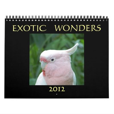 Exotic Wonders 2012 Calendars
