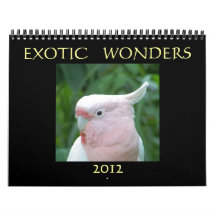 Exotic Wonders 2012 Calendars
