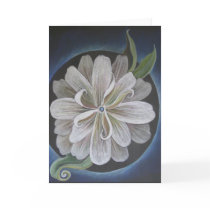 Expanding Light 5 cards