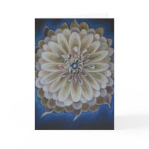 Expanding Light cards by sbabson Expanding Light cards