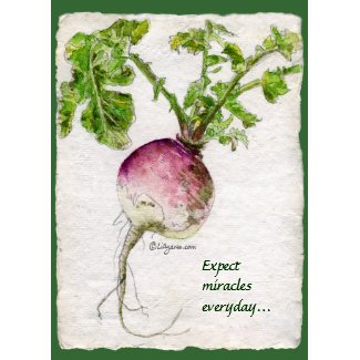 Turnip Watercolor