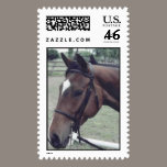 Expect Peace Stamps