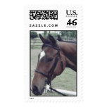 Expect Peace Stamps