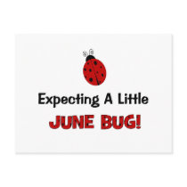 Expecting A Little June Bug Maternity Post Cards
