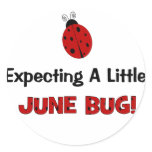 Expecting A Little June Bug Maternity stickers