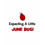 Expecting A Little June Bug Maternity t-shirts