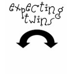 Expecting Twins Shirts