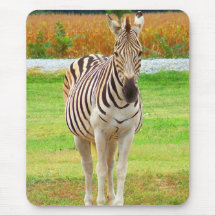 Expecting (Zebra) Mousepad