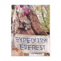 Expedition Everest postcards