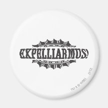 ¡Expelliarus! Imán Para Frigorifico