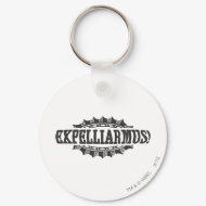 Expelliarus! keychain
