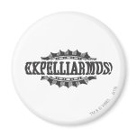 Expelliarus! magnets