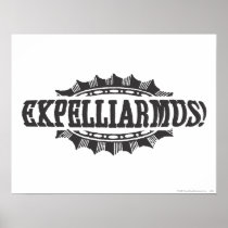 Expelliarus! Poster