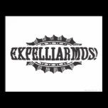 Expelliarus! posters
