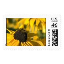 experience in yellow postage