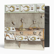 Experiment on frogs binders
