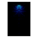 Experimental posters