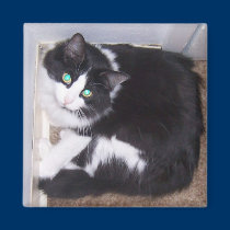 Experimental Square Kitty magnets