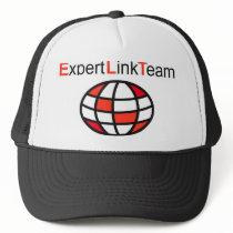 Expert Link Team Logo hats