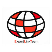 Expert Link Team Logo posters
