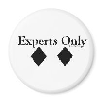 Experts Only Fridge Magnets
