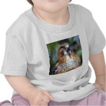 Explain... T-shirt